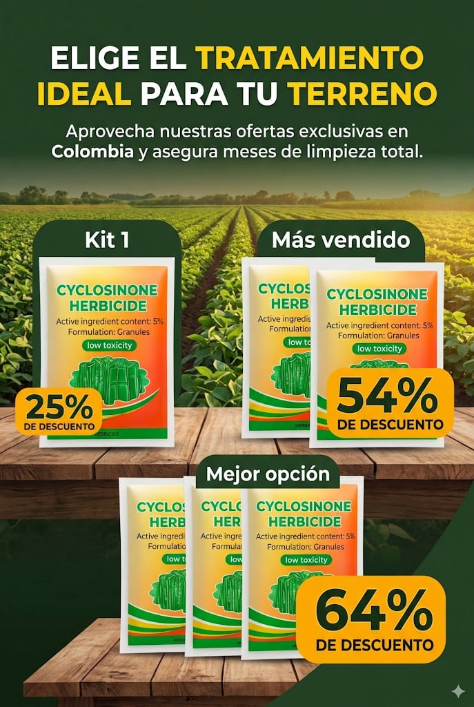 Opinión de cliente 2