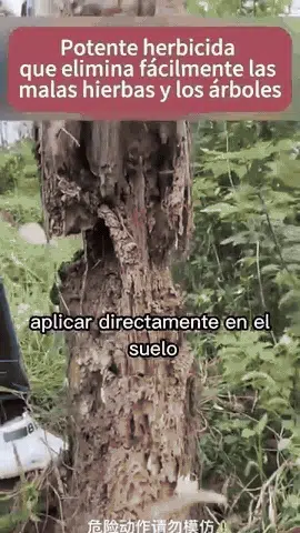 Aplicación de Cyclosinone