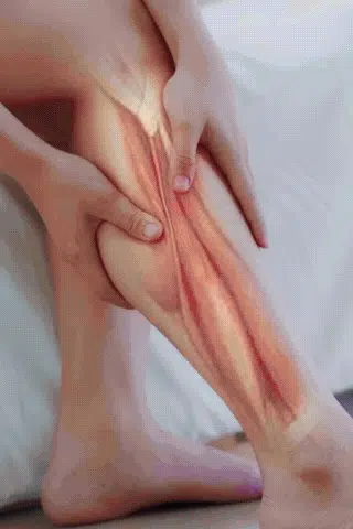 446