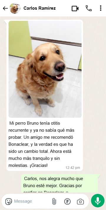 Chat testimonio 4