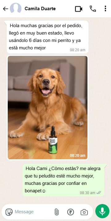 Chat testimonio 1
