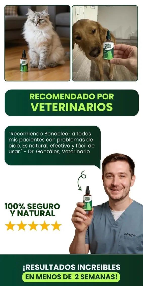 Descubre los beneficios de BonaClear