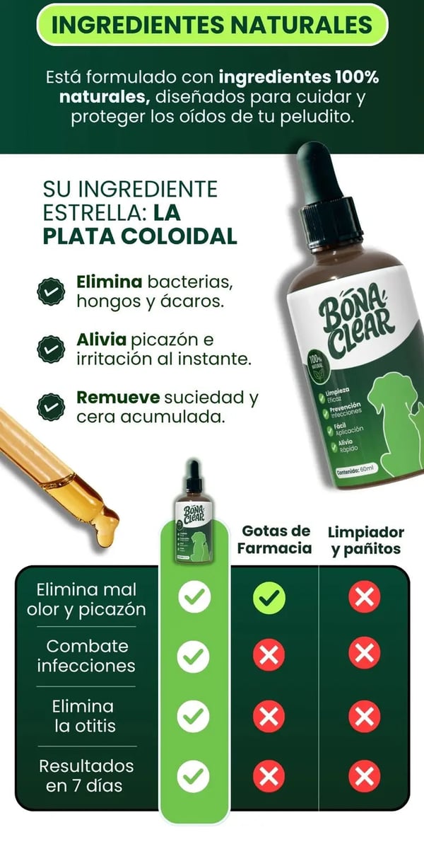 Cómo aplicar BonaClear