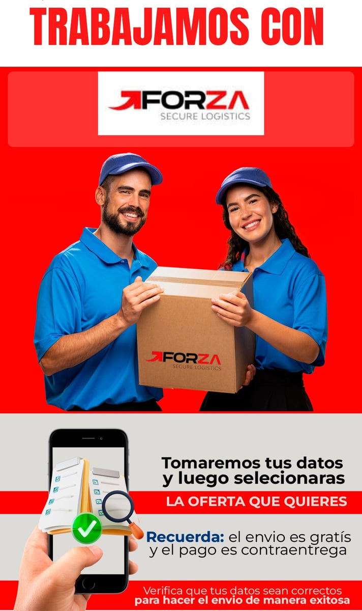 Diseño 2