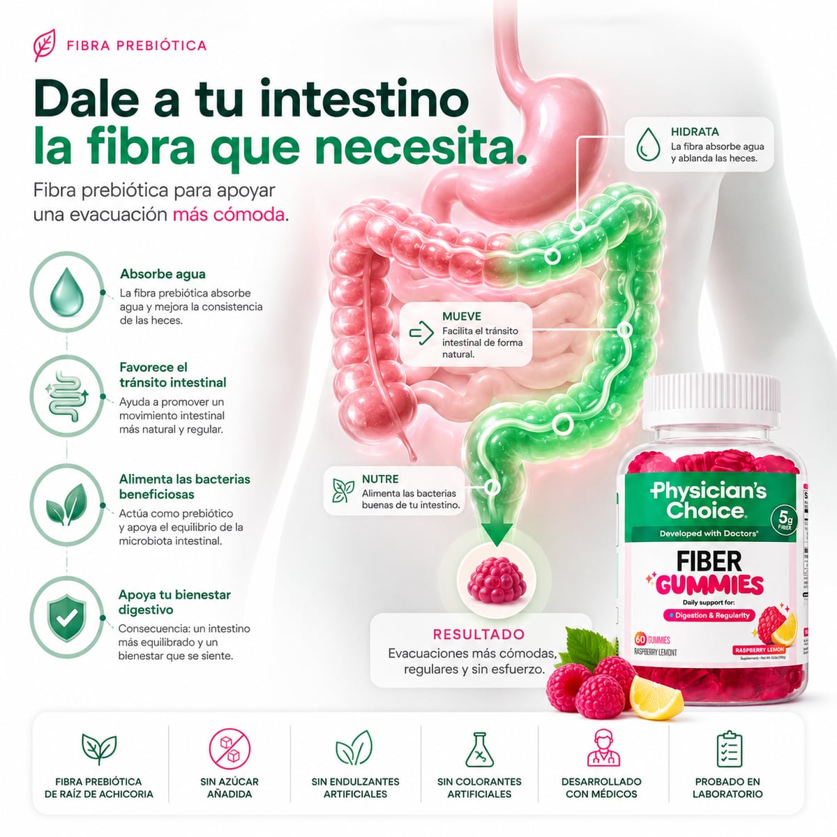 Cómo actúa la fibra prebiótica en el sistema digestivo