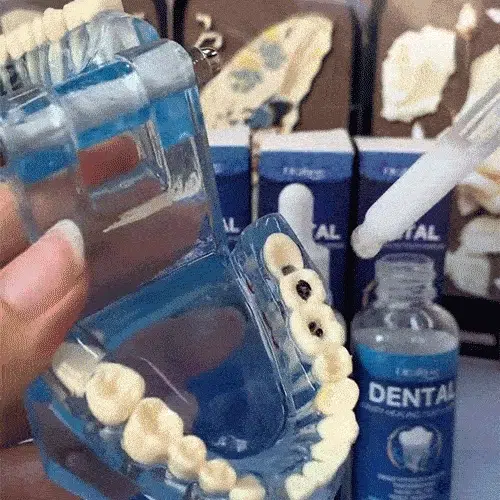 Dentite Reparador Dental