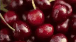 GIF 23