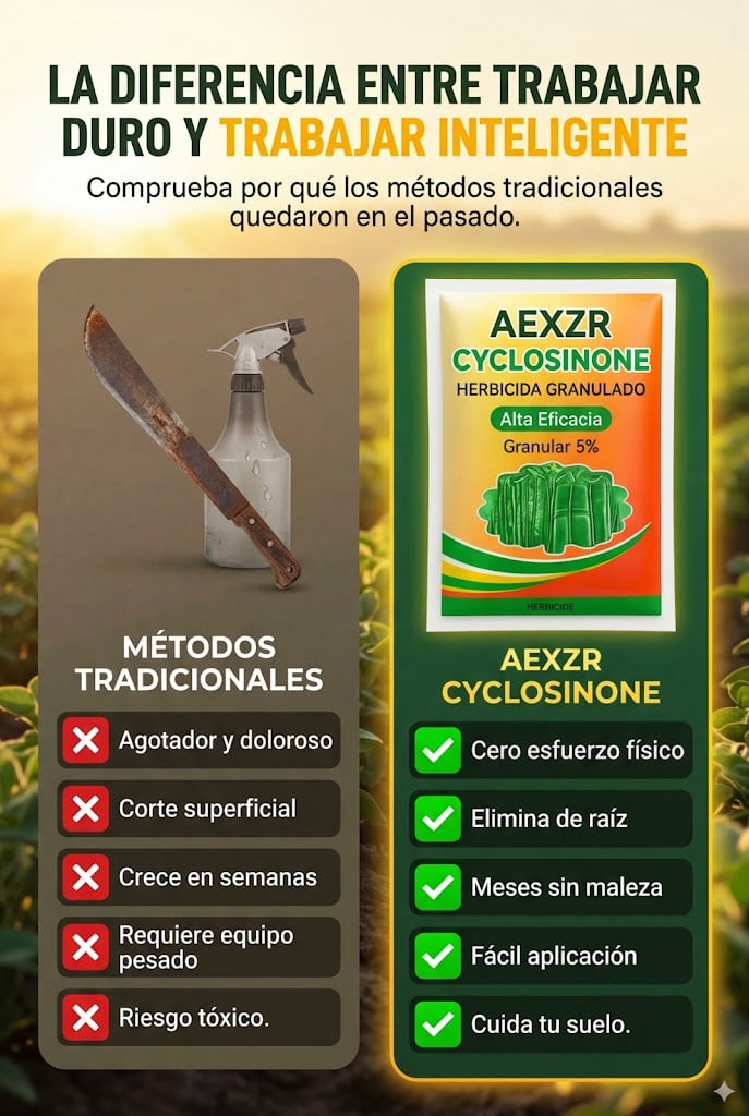 Opinión de cliente 1