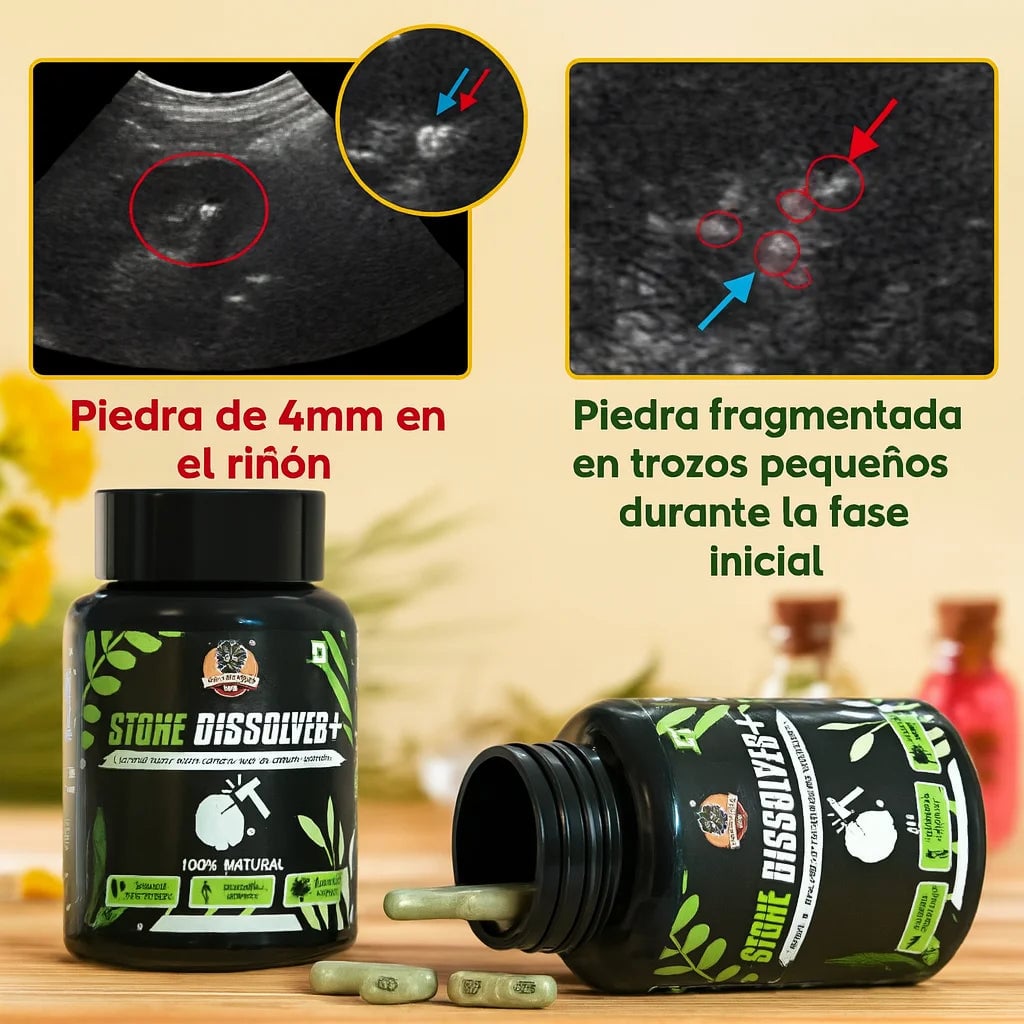 Encabezado