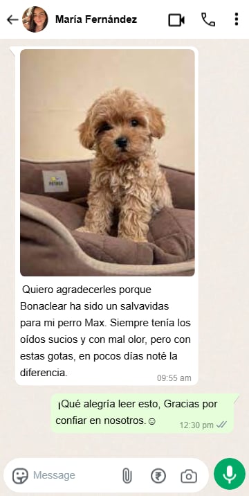 Chat testimonio 2