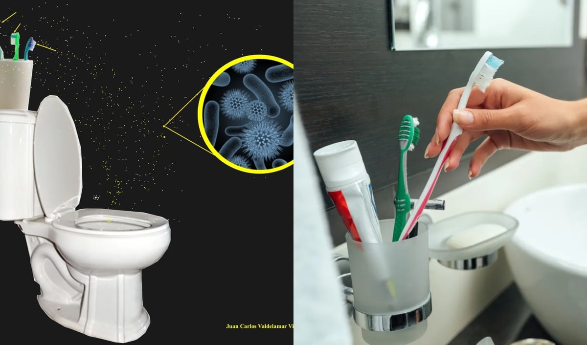 Guardas tu cepillo de dientes en el baño?: conoce por qué deberías sacarlo inmediatamente | Peru | Argentina | Bolivia | Brasil | Chile | Colombia | Ecuador | Paraguay | Uruguay | Venezuela | Salud | La República