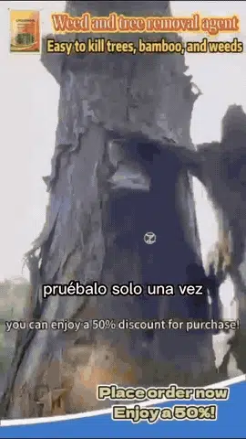 Cyclosinone en el terreno