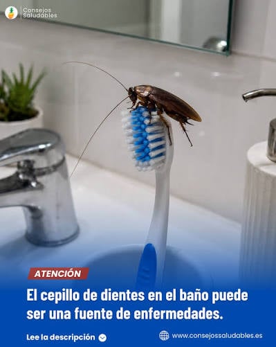 🚨 Alerta sanitaria: el cepillo de dientes en el baño puede ser una fuente de contaminación si no se cuida bien. Cada vez que se descarga el inodoro, se liberan microgotas invisibles