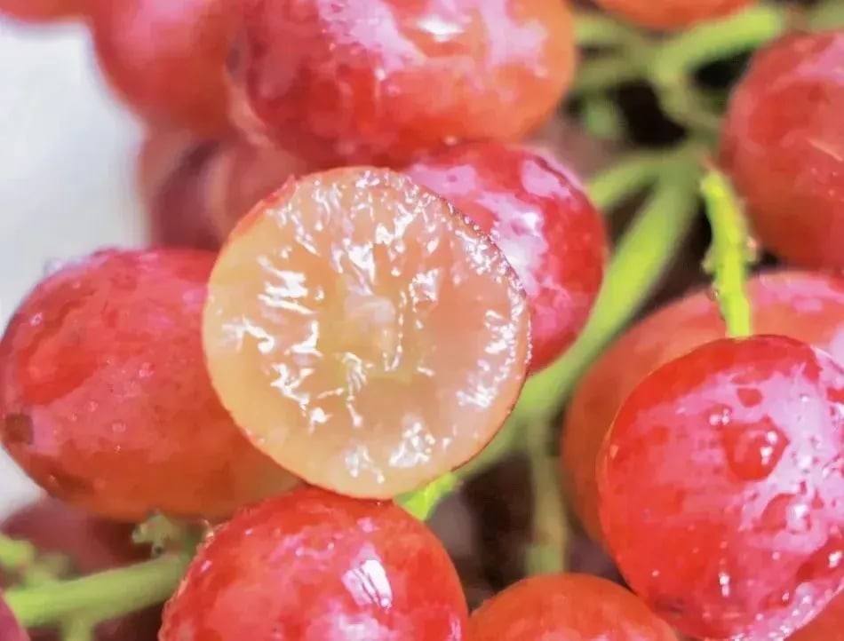 Uvas abundantes
