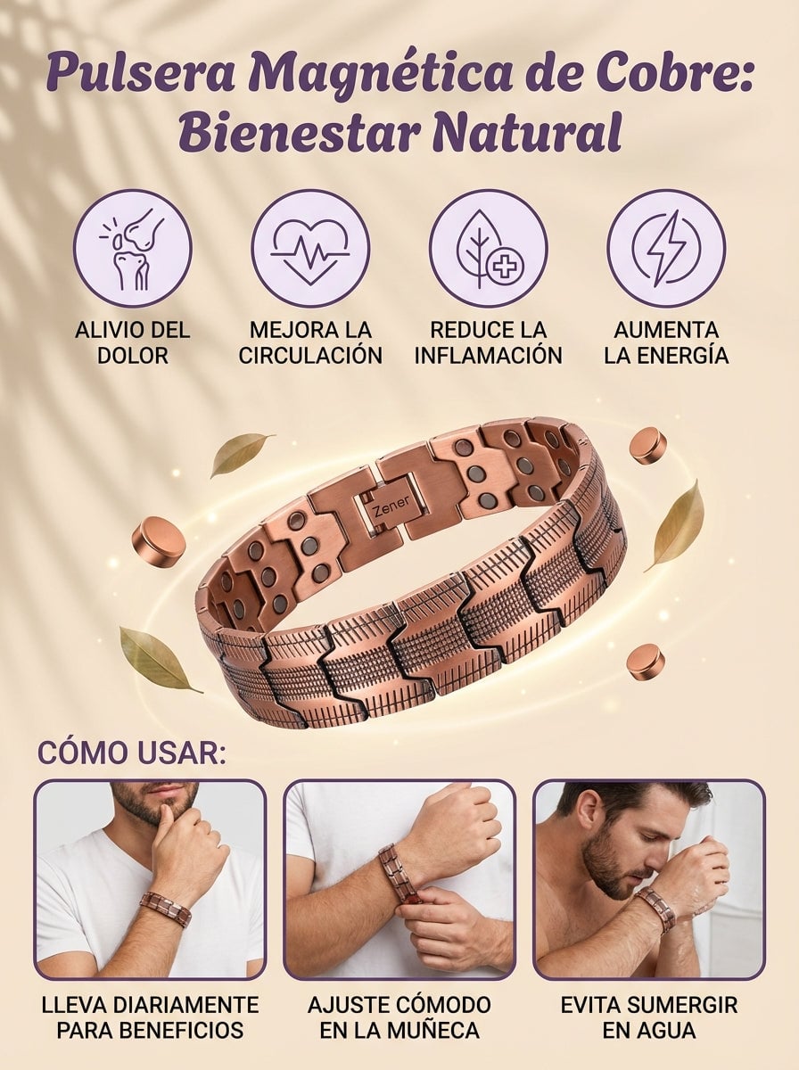 Guía Paso a Paso