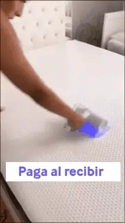 Preguntas