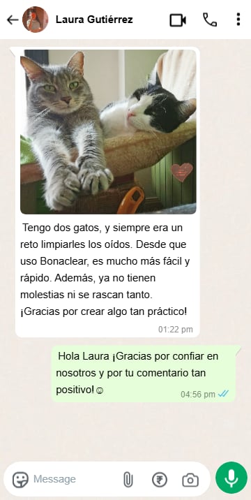 Chat testimonio 3