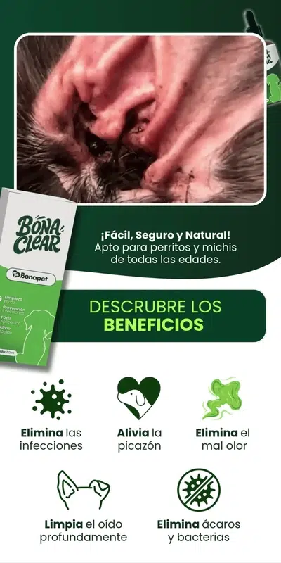 BonaClear producto animación