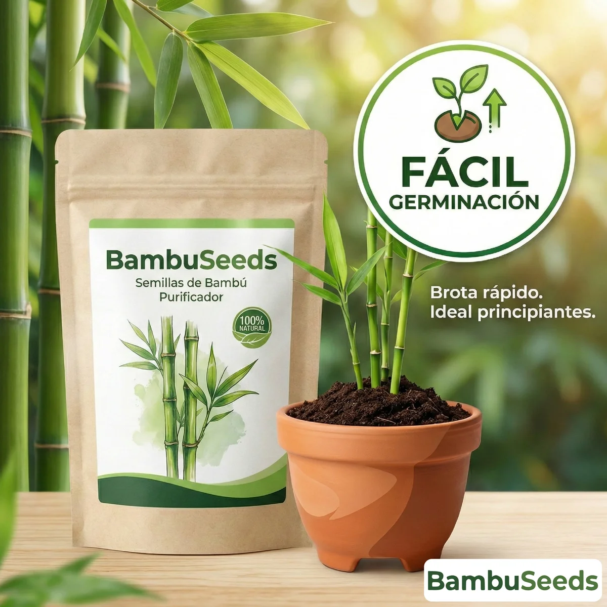 BambuSeeds: Semillas de Bambú Purificador