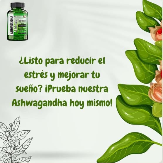 ASHWAGANDHA-TOP DE VENTA EN GUATEMALA