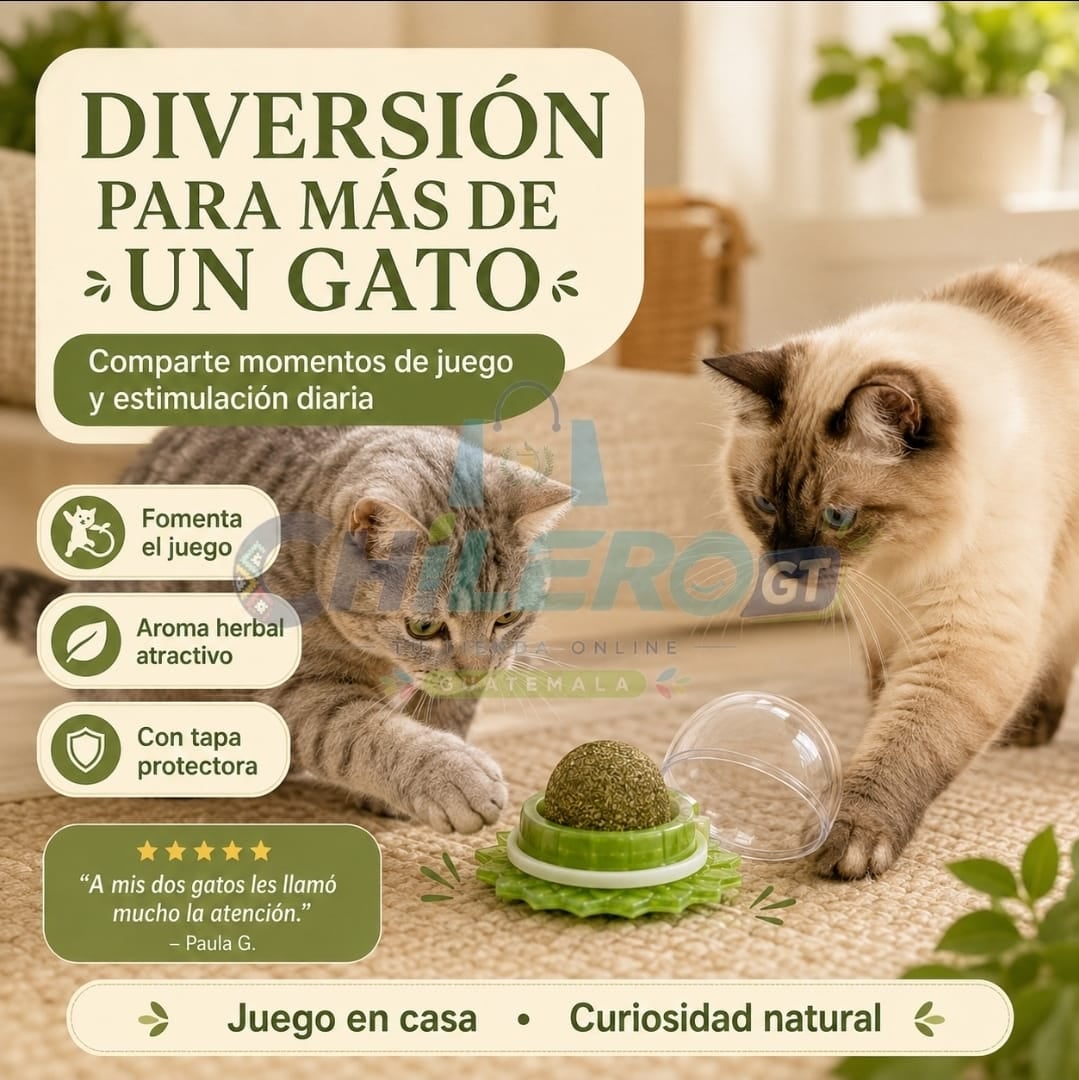 Catnip Natural para Gatos – Diversión y Estimulación