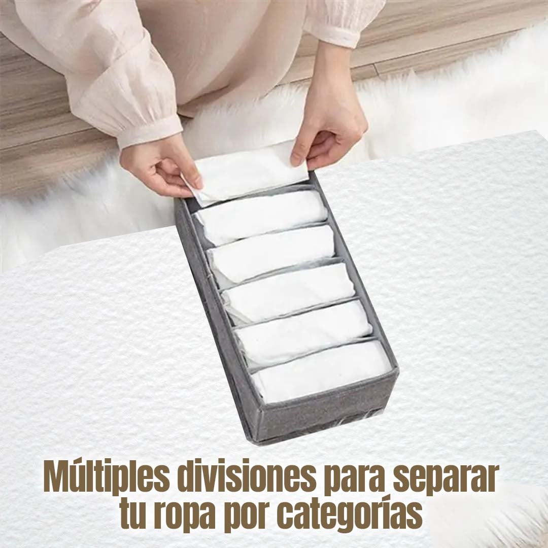 GABETA ORGANIZADORA CON DIVISIONES 🎁PROMO 2 UNDIADES🎁