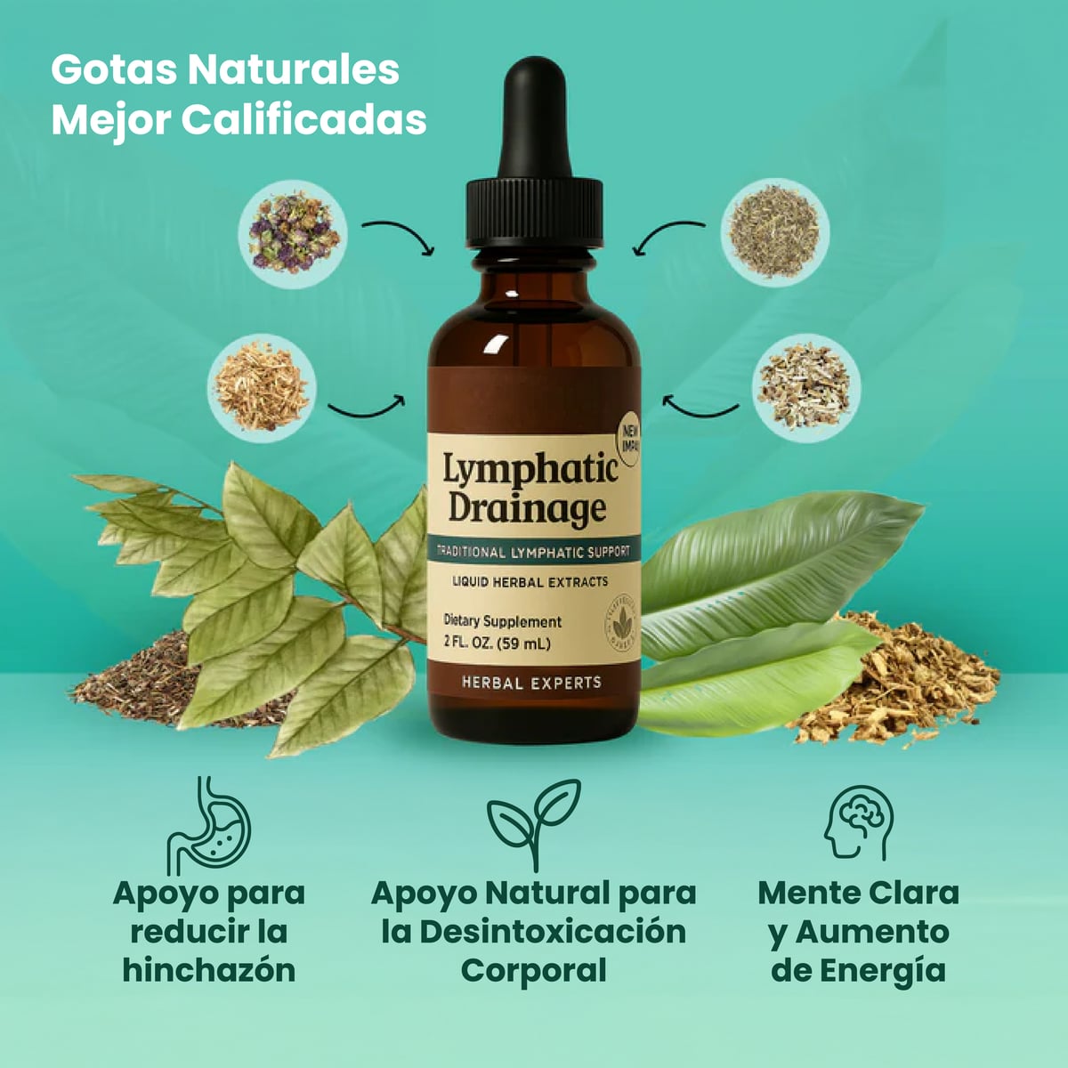 Lymphatic Drainage™ Elimina Lo Que Tu Cuerpo Ya No Necesita