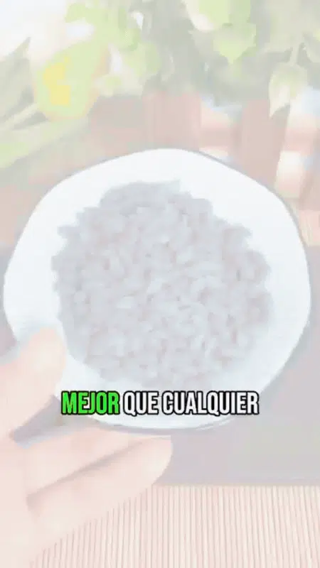 🌿 Semillas de Jazmín Aromáticas + GUIA PASO A PASO PARA CULTIVAR 📗