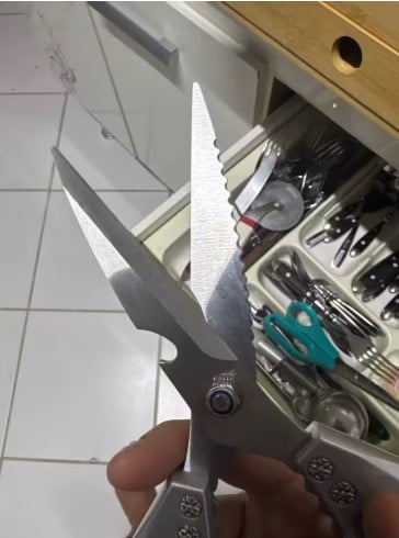 Foto de Ricardo Cifuentes