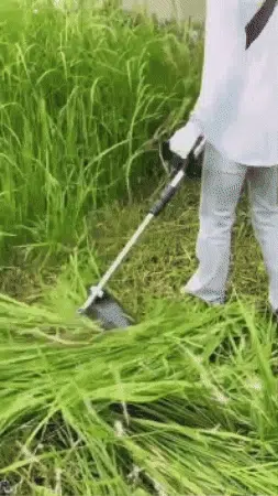 🌿 ¡JARDÍN PERFECTO EN MINUTOS!