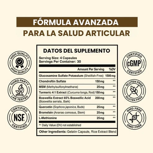 Movilidad Activa 360
