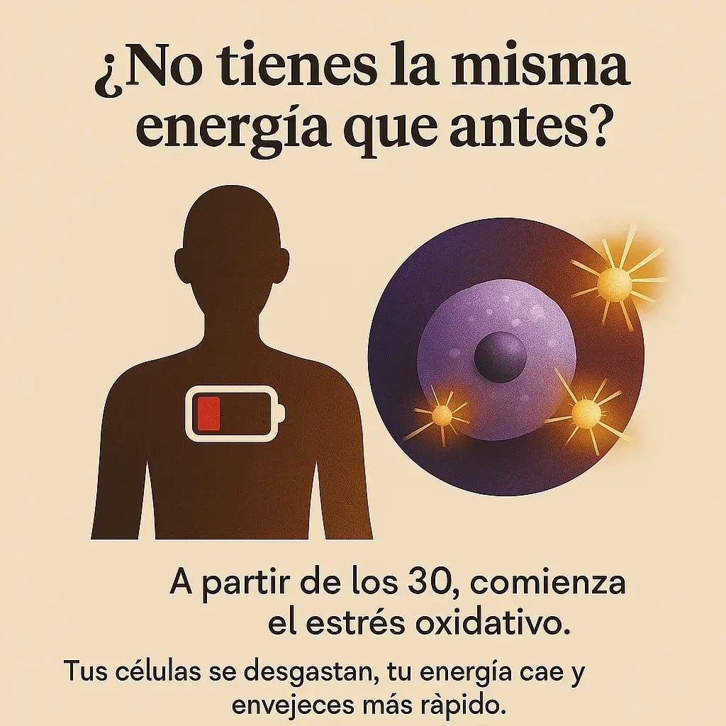 CAFE PREMIUM RYZE+ ENVIO GRATIS 