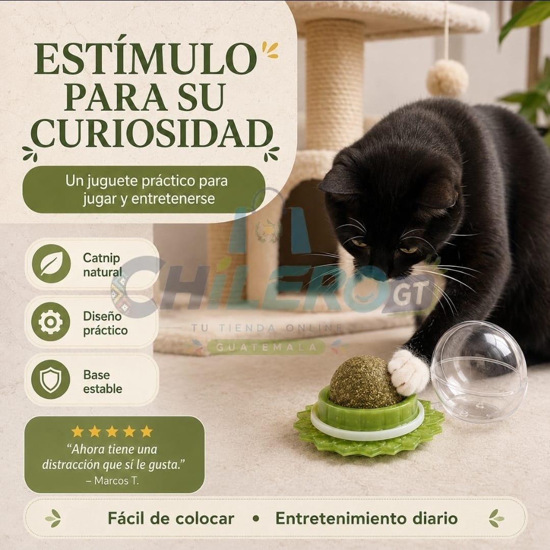 Catnip Natural para Gatos – Diversión y Estimulación