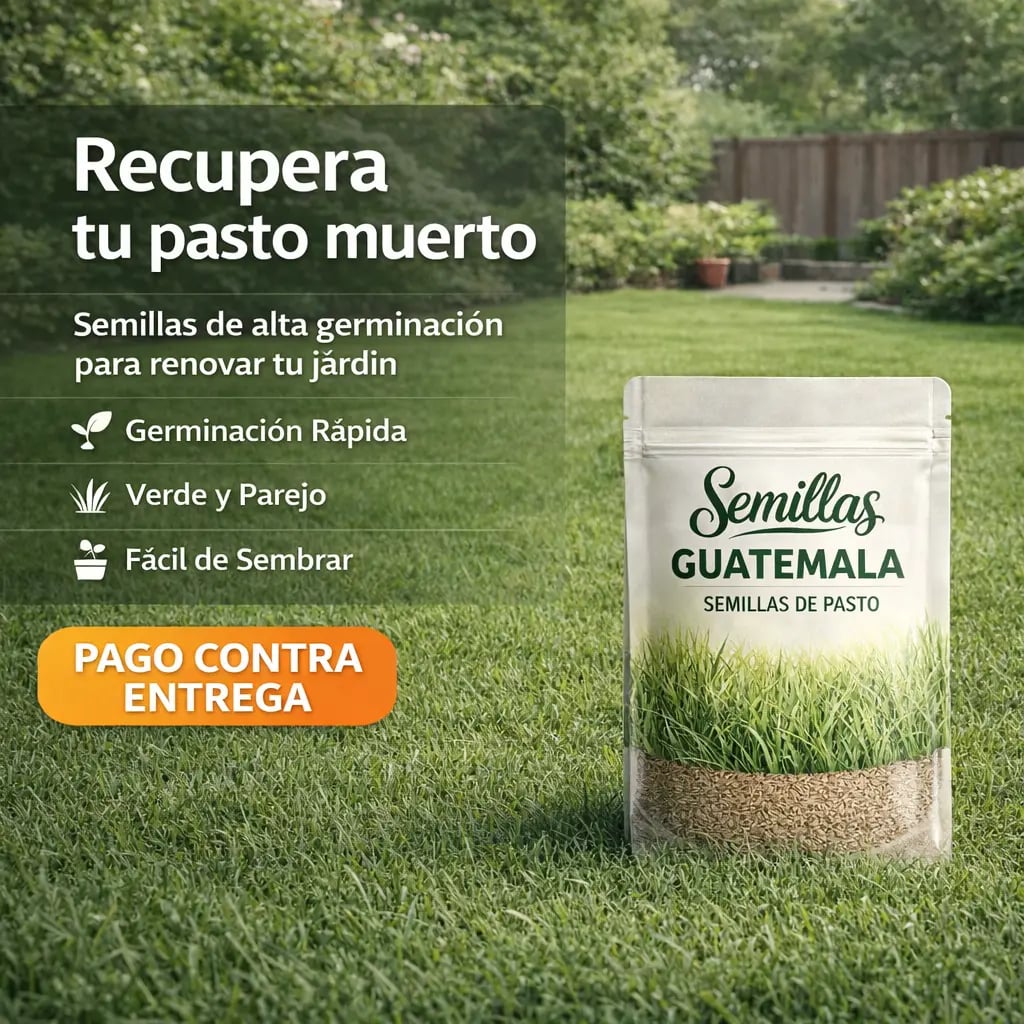 🌱Semillas de Césped Autoreparable - 400g - Cubre hasta 15 m2
