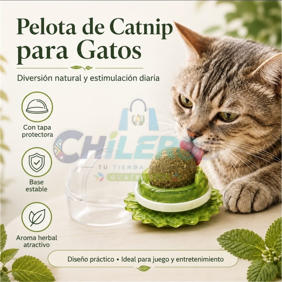 Catnip Natural para Gatos – Diversión y Estimulación