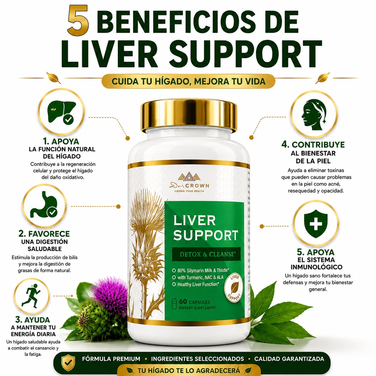 LIVER SUPPORT~ Suplemento de cardo mariano para limpieza hepática, desintoxicación y perdida de peso