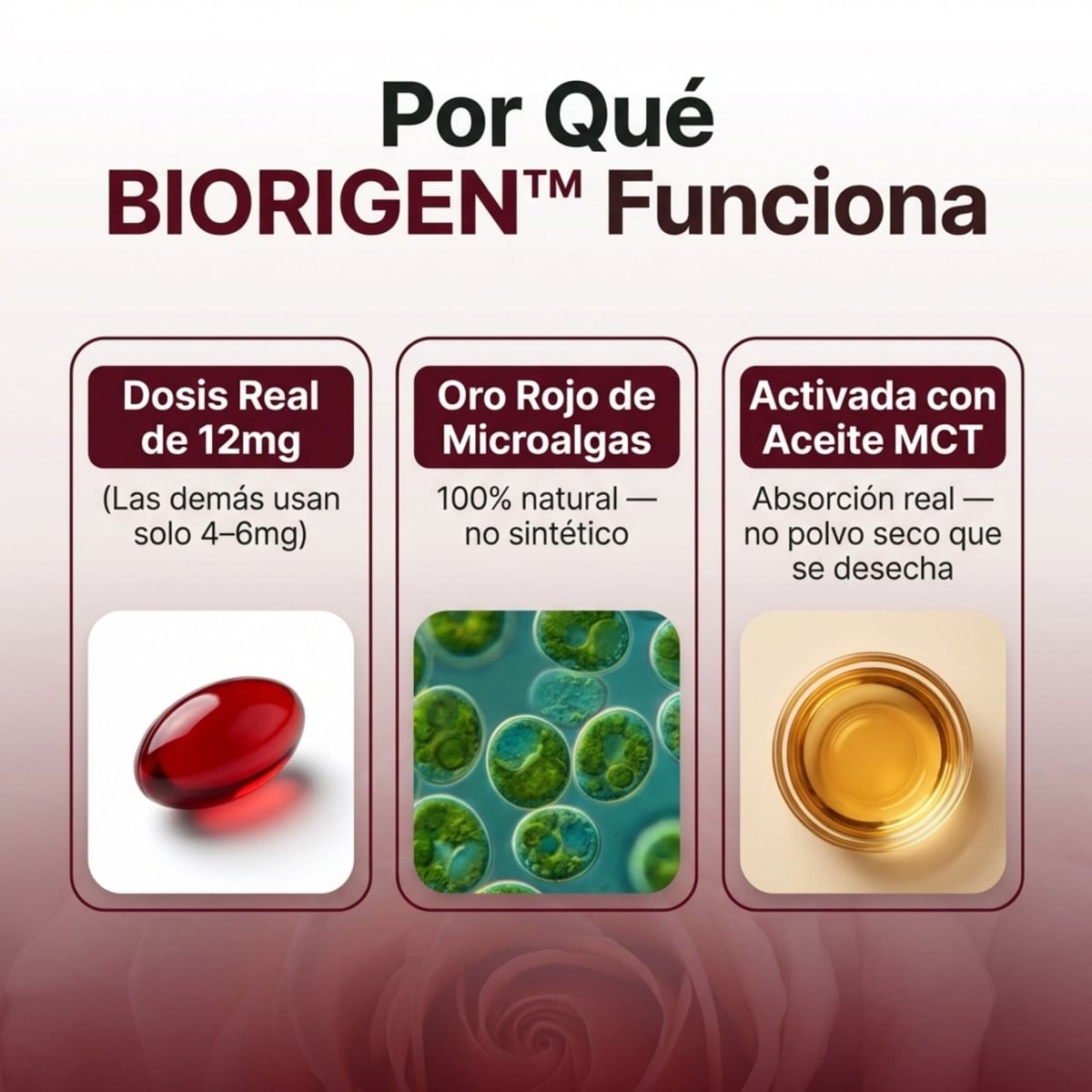 Astaxantina Maestro para tu Visión, Piel y Energía.