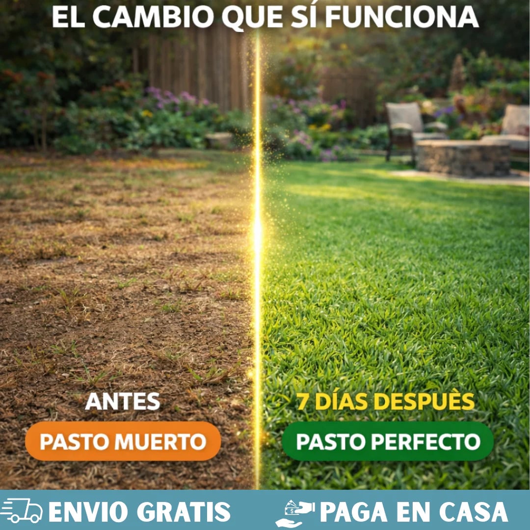 🌱Semillas de Césped Autoreparable - 400g - Cubre hasta 15 m2