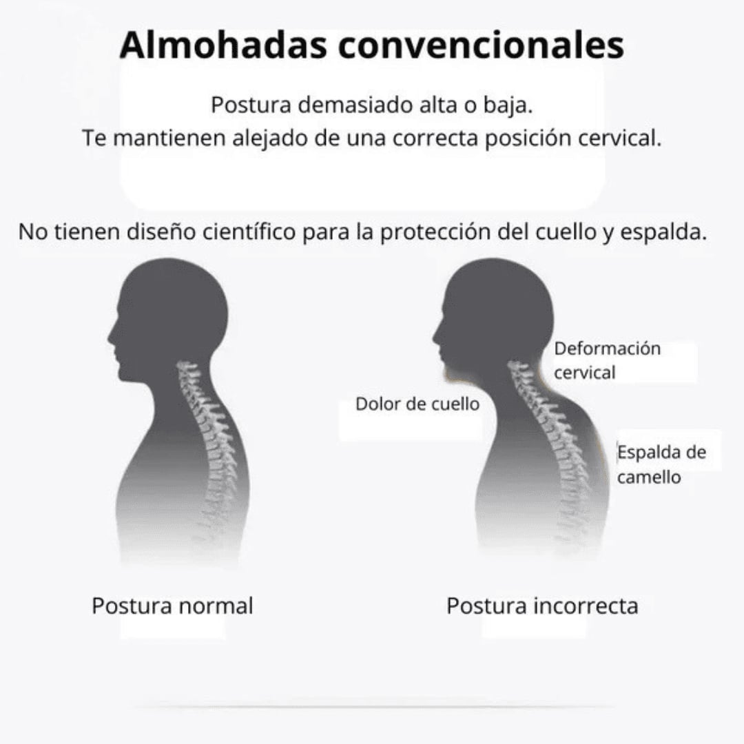 2x1 DELUXE ERGONOMIC PLUS Almohada Ortopedica - Promo 2X1