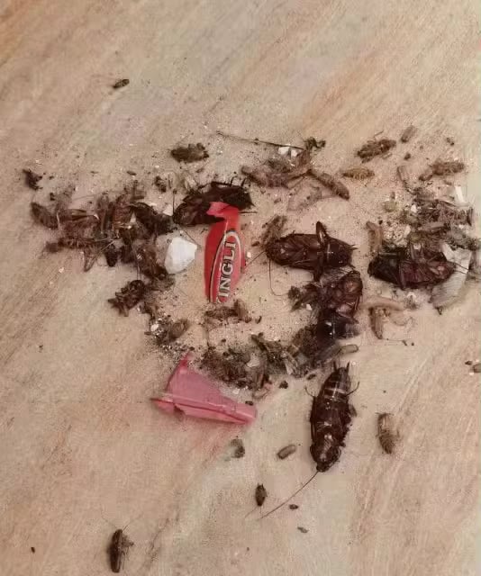 Foto de Ricardo Lopez