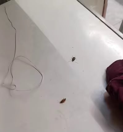Foto de Ana Gonzalez