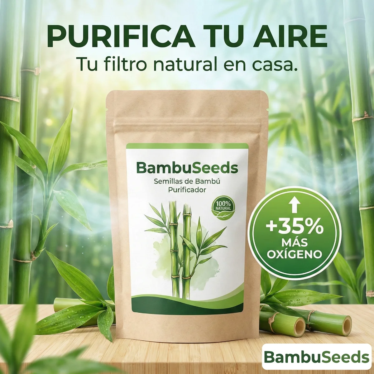 BambuSeeds: Semillas de Bambú Purificador