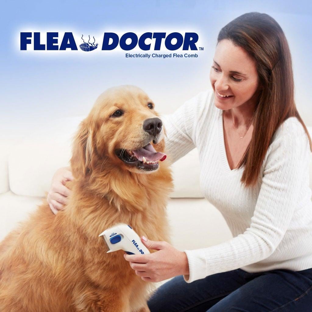 Peine Eléctrico Mata Pulgas para Mascota