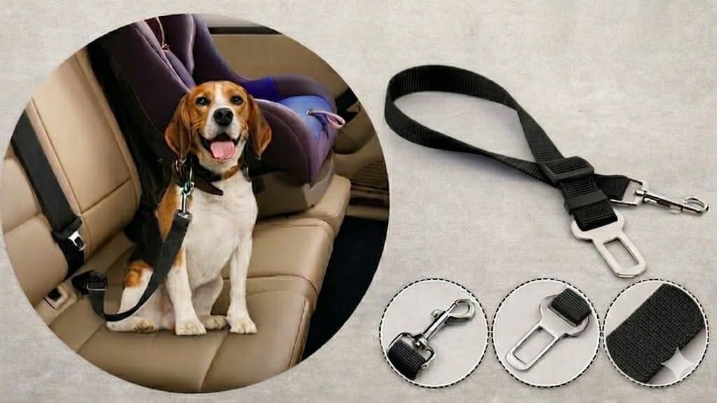PawSafe* Cinturón de seguridad para perros//ENVIO GRATIS🔥