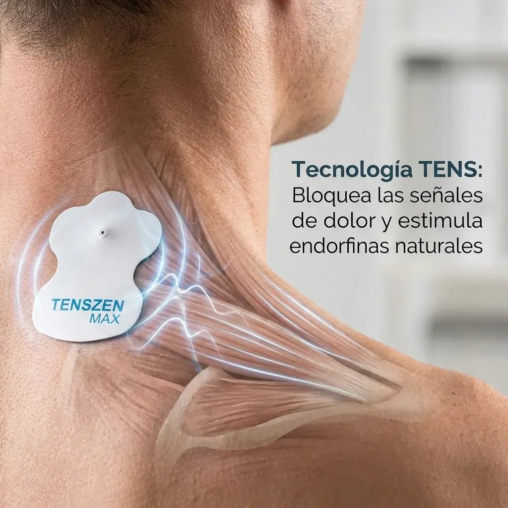 PulsePro – Electroestimulador Muscular Digital EMS/TENS