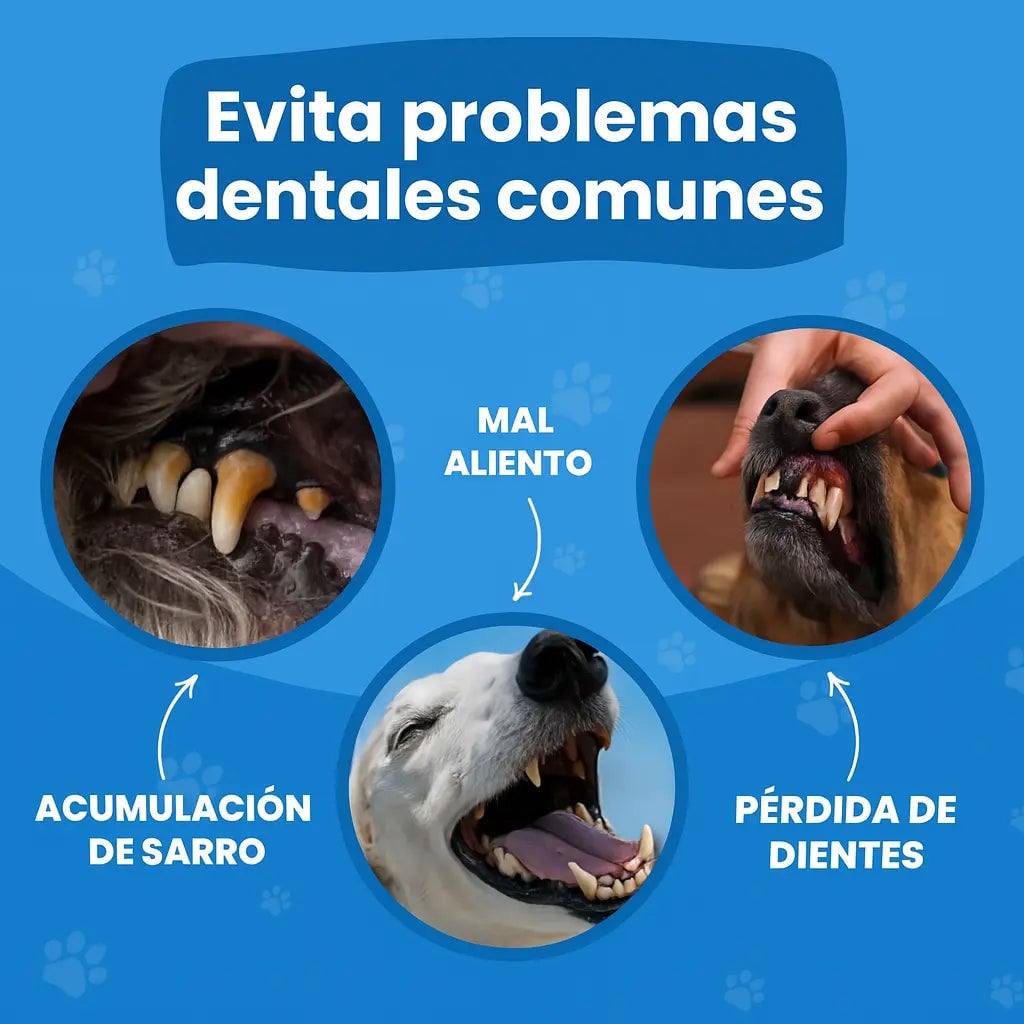 Toallitas tipo dedal para limpieza de oídos y boca para  mascotas