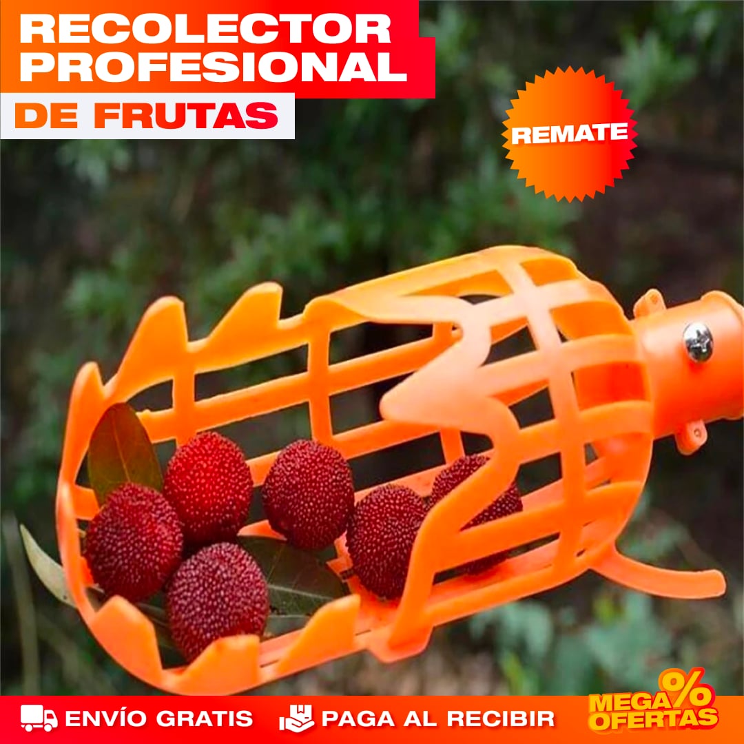 RECOGEDOR DE FRUTAS PROFESIONAL