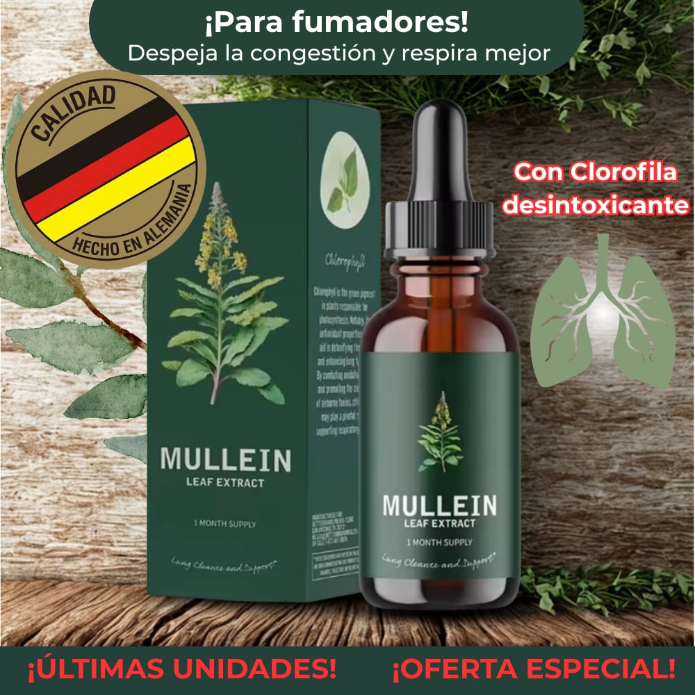 MULLEIN - Extracto de hoja de GORDOLOBO