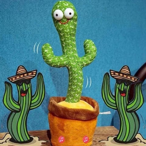Cactus Bailarín + ENVIO GRATIS