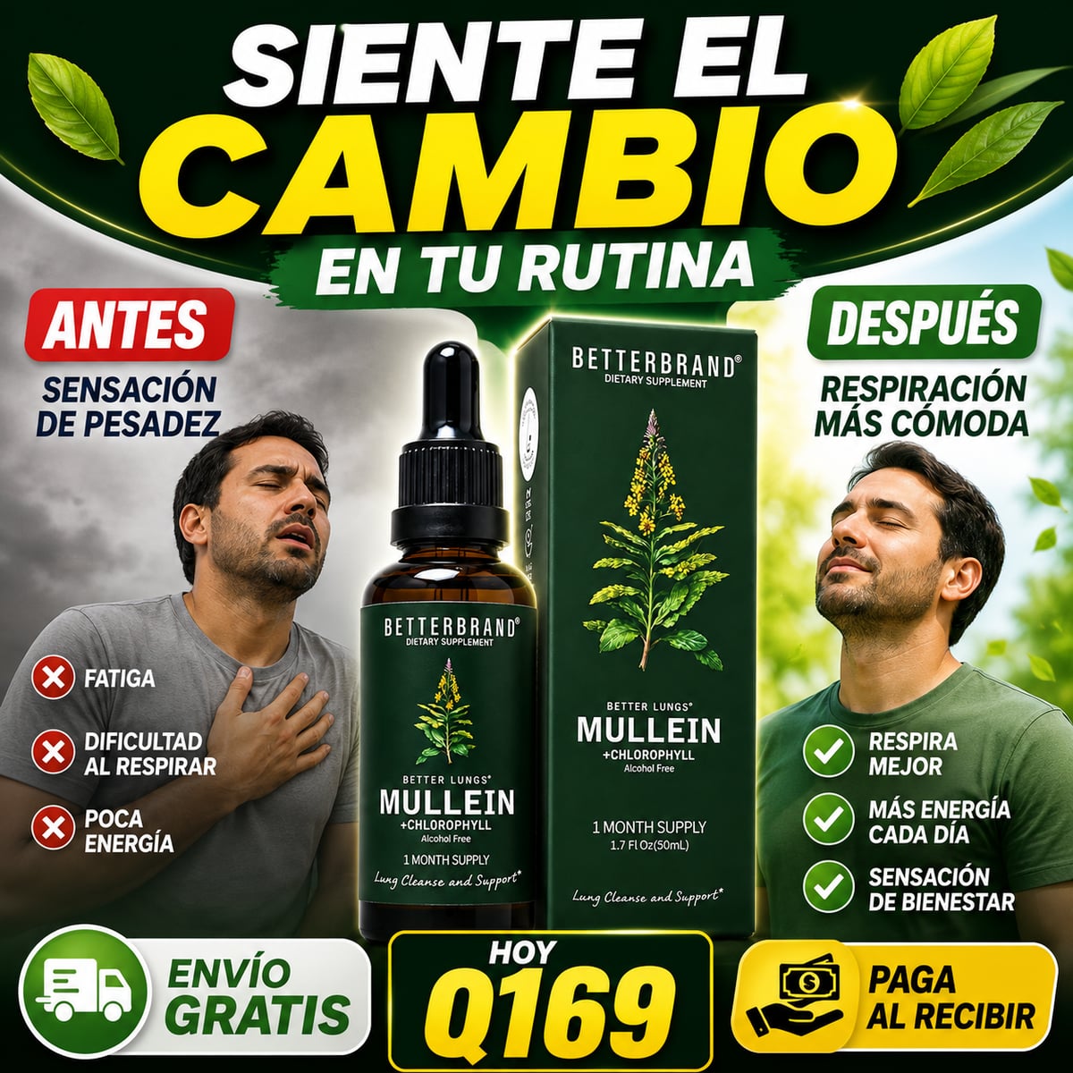  MULLEIN CLOROFILA / RESPIRA MEJOR, VIVE MEJOR 🌿 